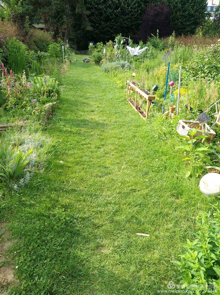 jardin10