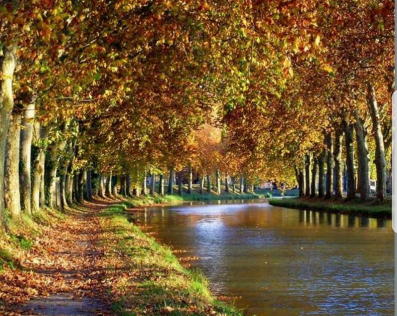 canal