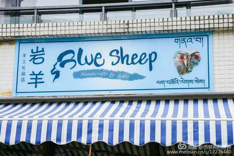 shop