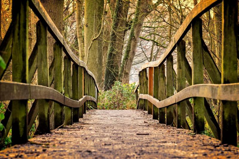 Pont Mireabeau