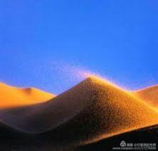 你是风儿，我是沙儿，缠缠绵绵到天涯
