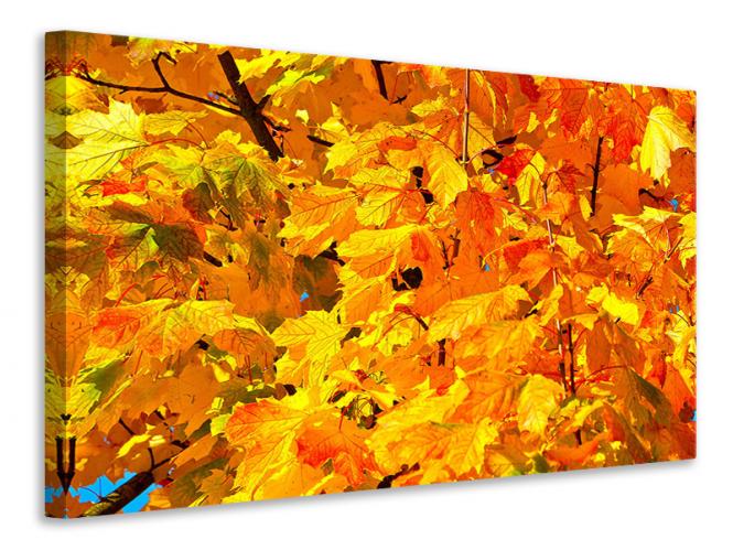 feuille